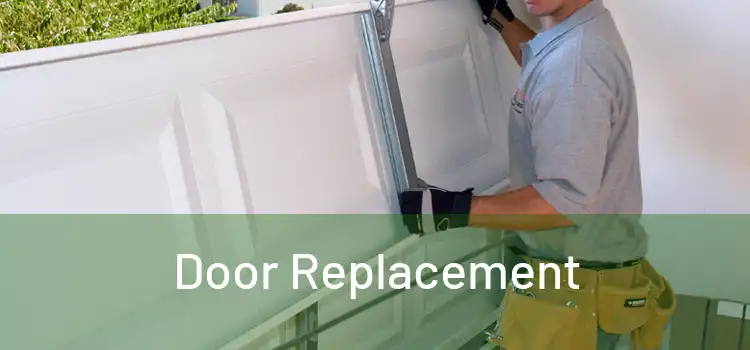 Door Replacement 